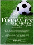 Public Viewing Fussball-WM